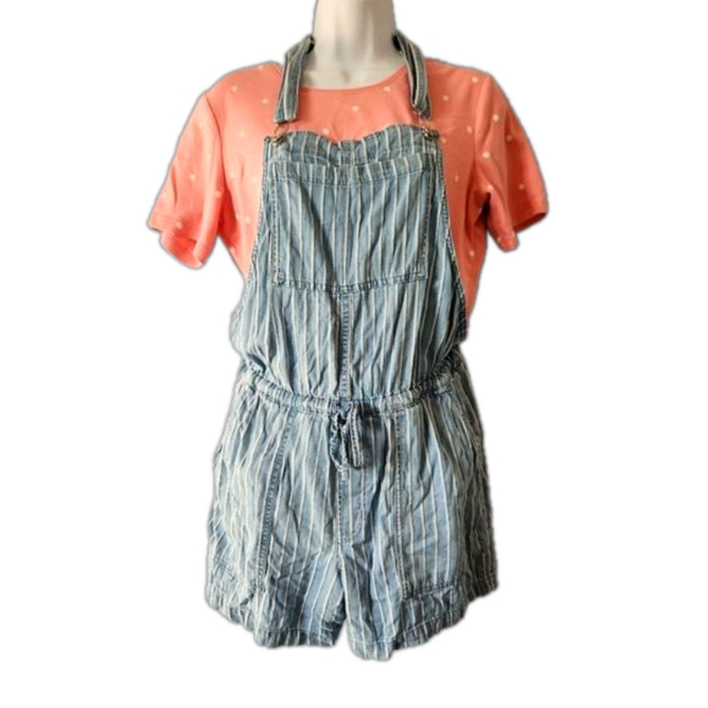 Jordache overall shorts